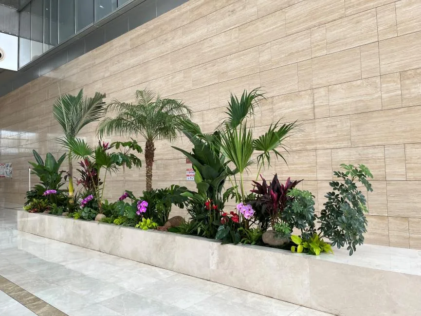 想找宁波镇海绿植租赁？这家实力出众不容错过！